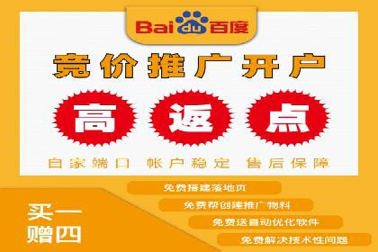XX领域竞价广告的投放策略及效果展示